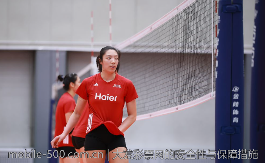 大发彩票网的安全性与保障措施